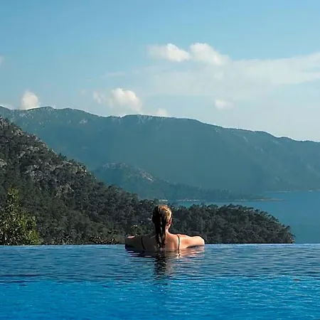 Olive Garden Kabak 4*