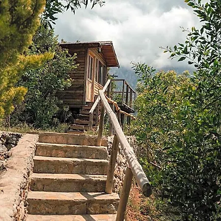 Olive Garden Kabak Hotel 4*