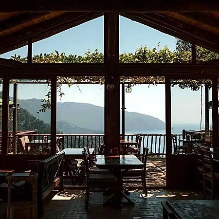 Olive Garden Kabak 4*