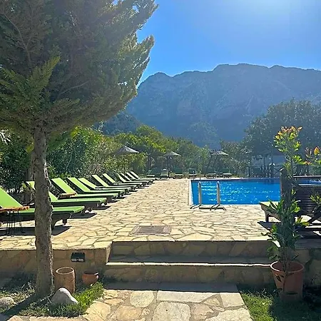 Olive Garden Kabak 4*